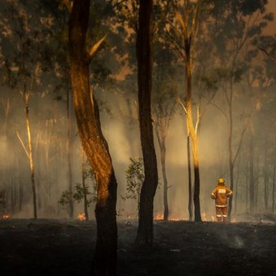 a person in orange overalls wearing a helmet stands by small flames among smoking trees 